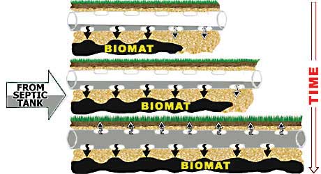 biomat-failing-system